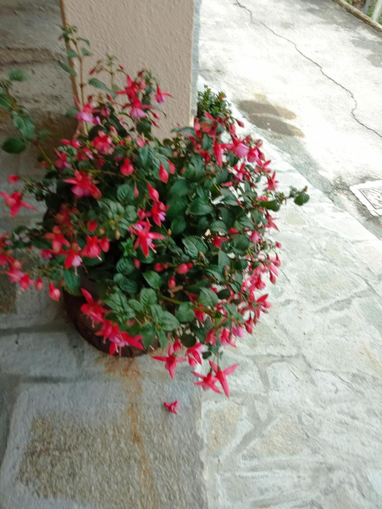 Agriturismo U'Spigu Nonna Annetta Nasino Exteriör bild